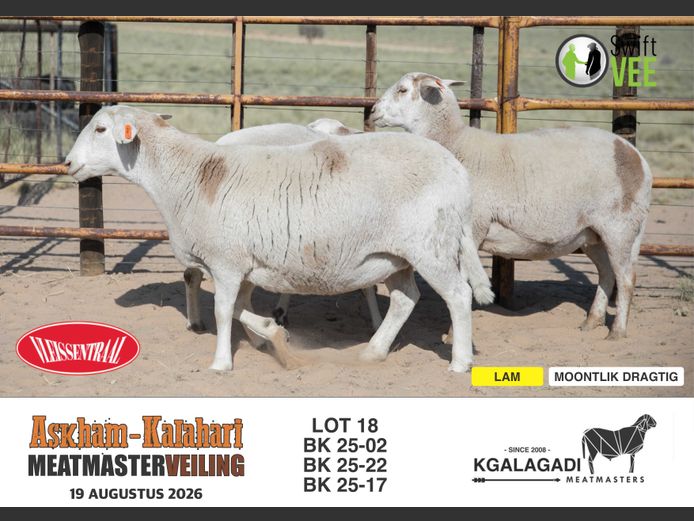 BK 25-05 | BARRI KNOETZE