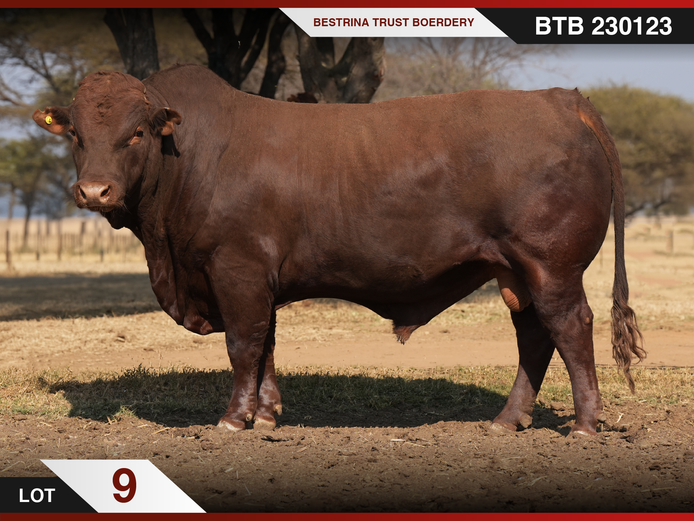 BTB 230123 HH(c) | BESTRINA TRUST BOERDERY