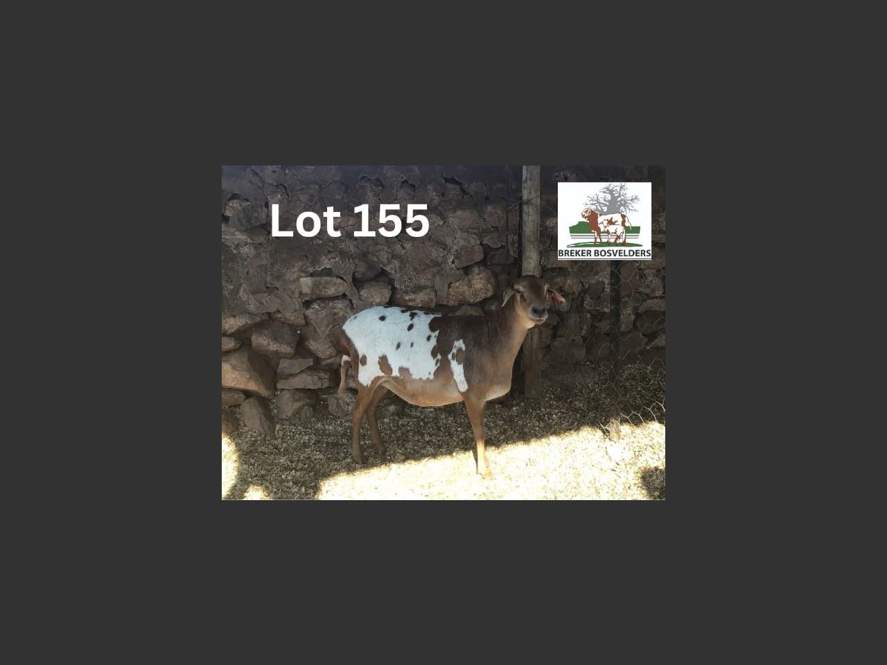 images