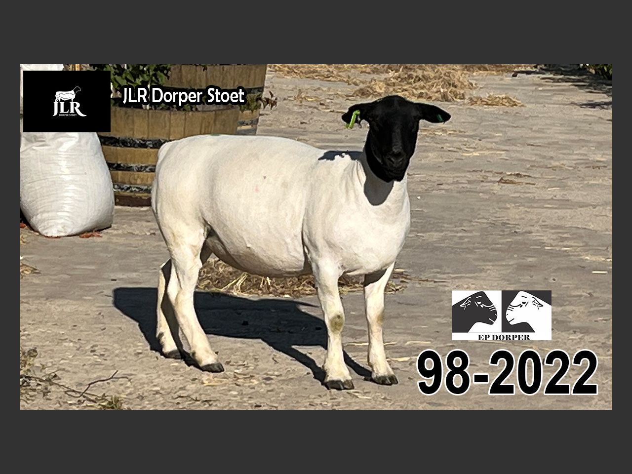 images