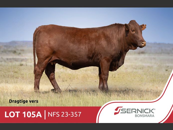 NFS 230357 | SERNICK BONSMARA STOET