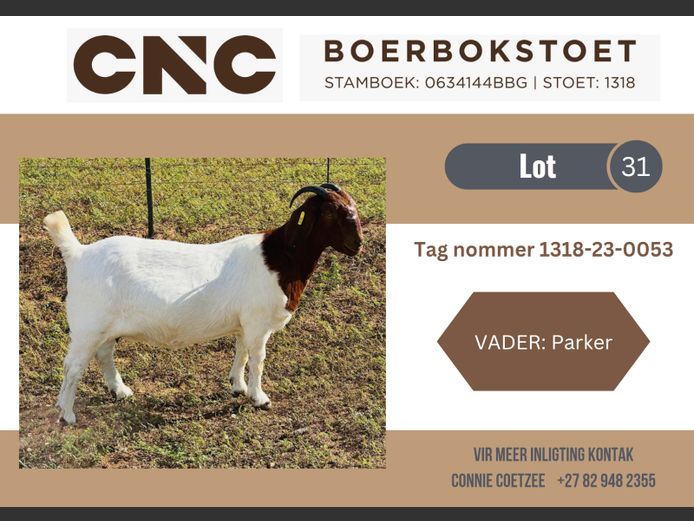 1265230053 | CNC Boerbokstoet