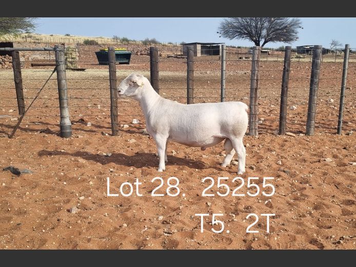 916250255W | R.J. CAHI & SON CC