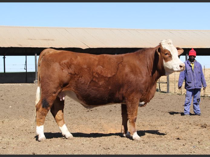 JH2212 | JH VAN BILJON