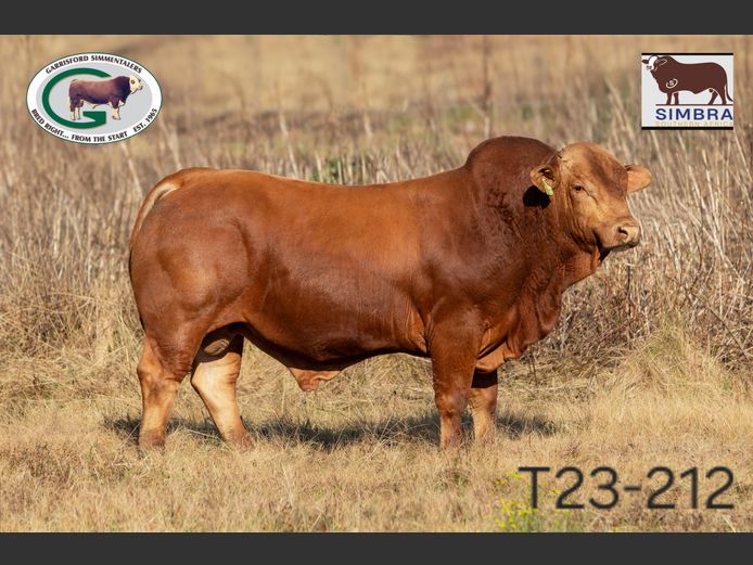 T23212 | GK TAYLOR