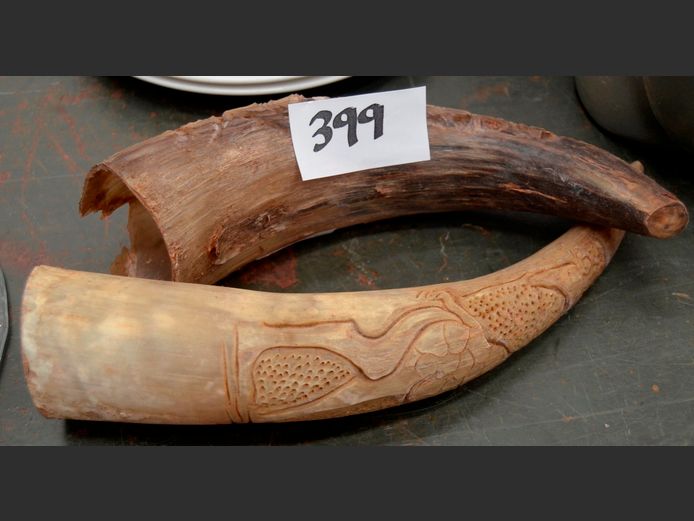 PAIR HORN CARVINGS
