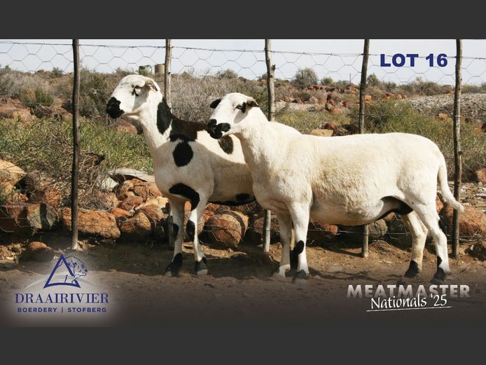 NS 21 247 | Nollie Stofberg - Draairivier Boerdery