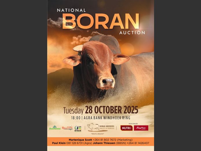 NATIONAL BORAN AUCTION