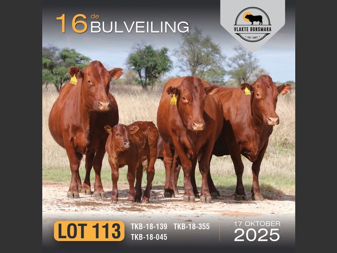 Commercial Animals | TKB BONSMARAS