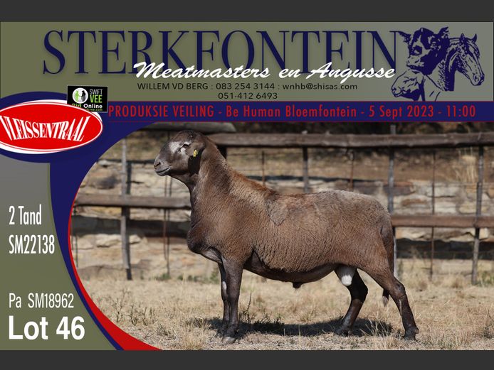 SM 22138 | Sterkfontein Meatmasters