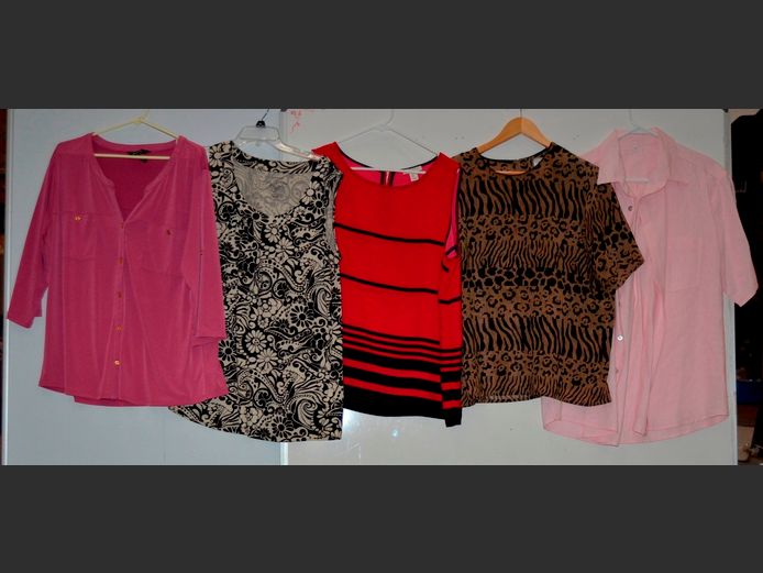 LOT OF 5 LADIES TOPS: ELLEN TRACY, NY COLLECTION, SONOME & SAINT TROPEZ [Sizes: L & XL]