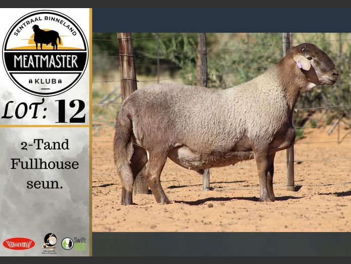 PS 116 | Vrede Meatmasters