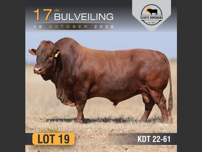 KDT220061 | J.P.F. DU TOIT