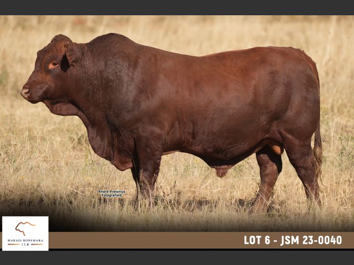 JSM 230040 | MARAIS BONSMARAS