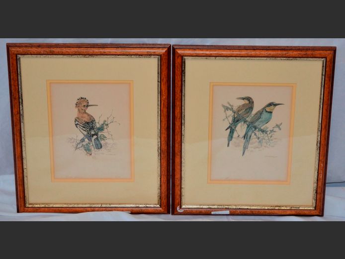 PAIR FRAMED PRINTS "UPA AFRICANA" & MEROPS APLASSTER" BY DICK FINDLAY, 25.5 x 19.5cm
