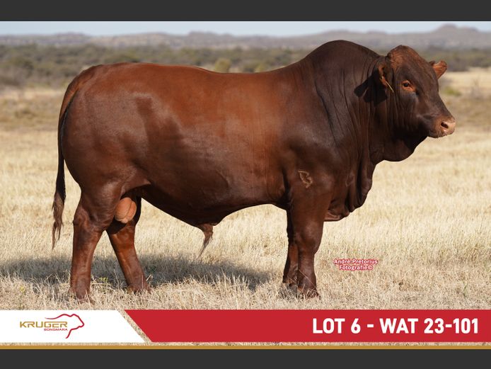 WAT230101 | KRUGER BOERDERY