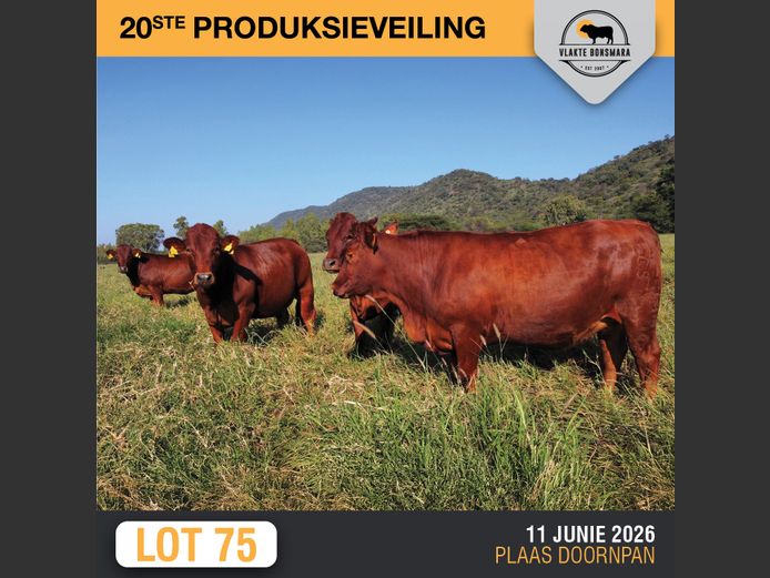 Commercial Animals | MOORDDRIFT BONSMARAS