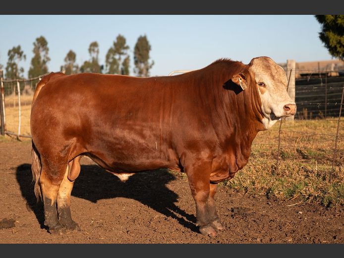 SE2361 | OUBOET BOERDERY