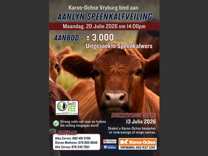 KAROO OCHSE AANLYN SPEENKALFVEILING