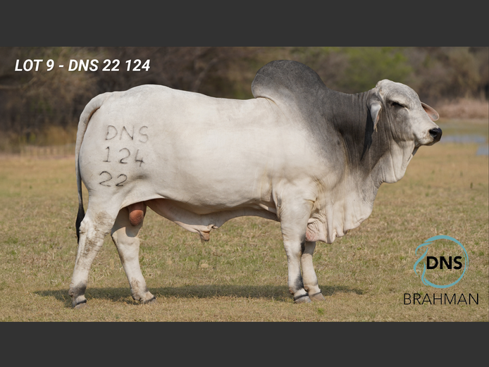 DNS22124 | JES-C BOERDERY (PTY) LTD
