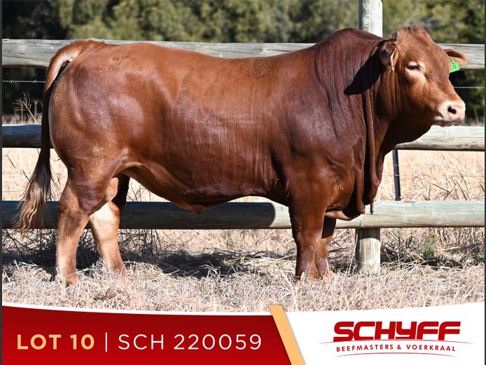 SCH 220059