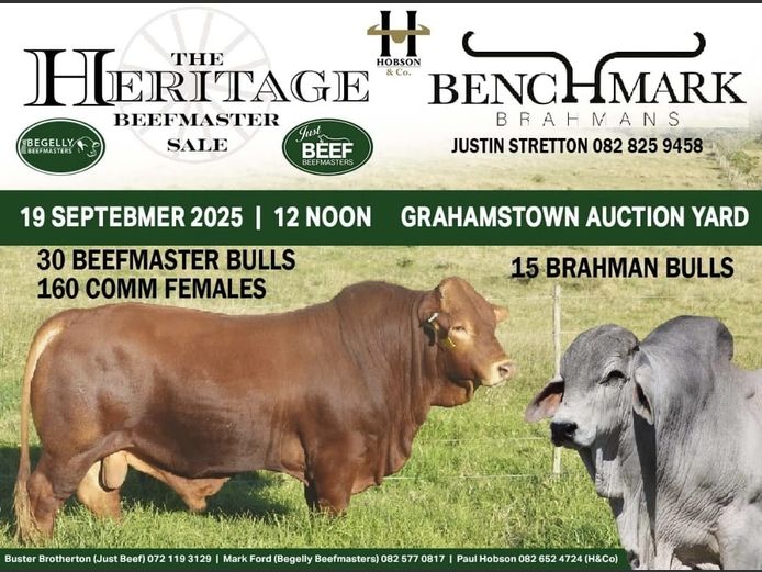 THE HERITAGE BEEFMASTER SALE