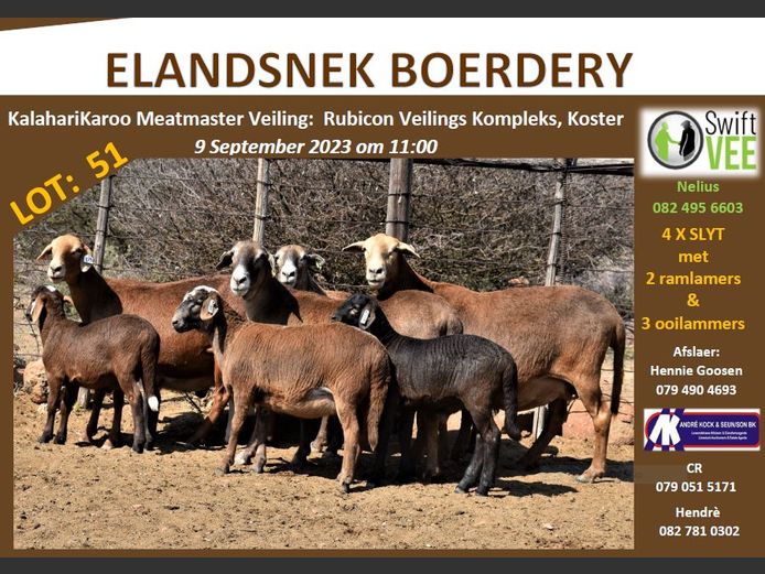 RSL 51D | ELANDSNEK BOERDERY