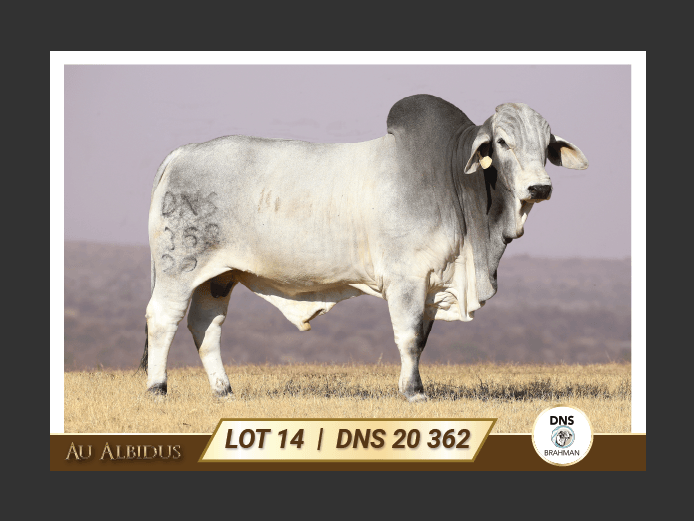 DNS20362 | JES-C BOERDERY (PTY) LTD 