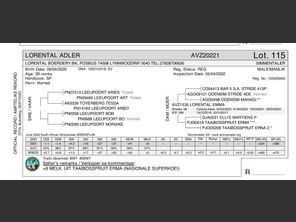 genetic_data