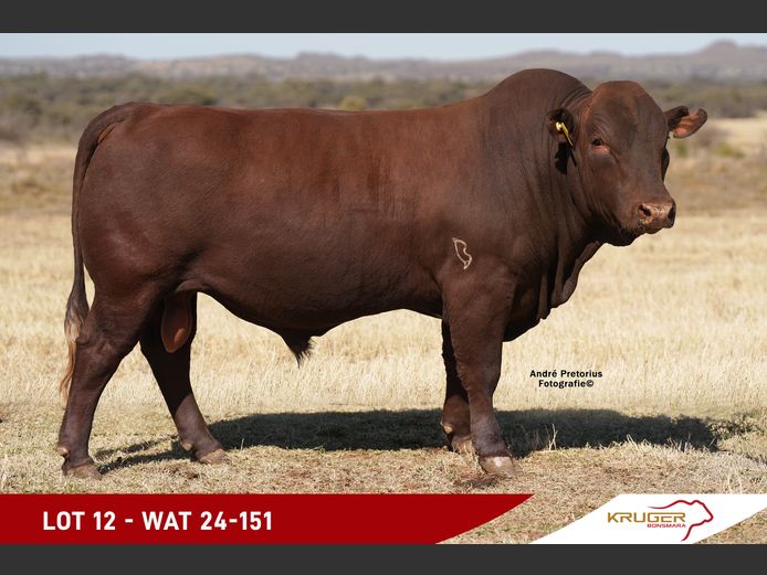 WAT240151 | KRUGER BOERDERY