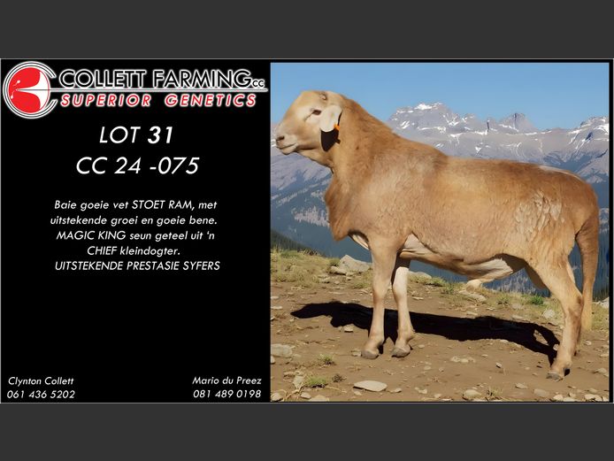 CC 240075 | COLLETT FARMING CC