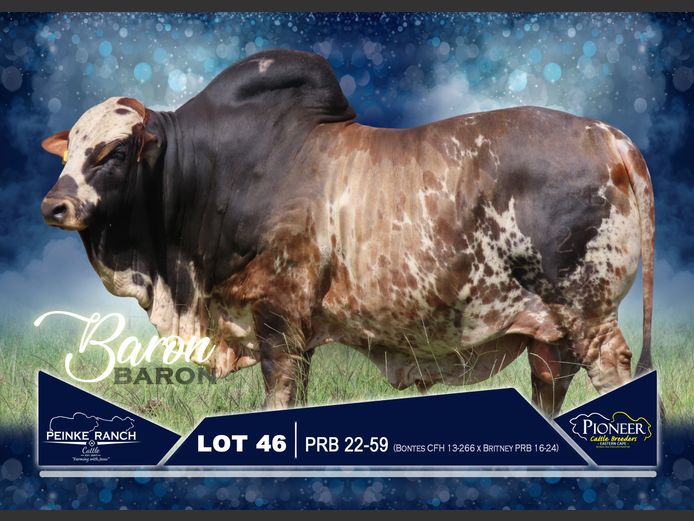 PRB 220059 | PEINKE RANCH