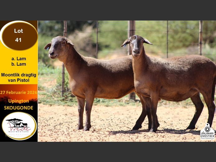 PS 40B | Peter & Christia Scholtz - Vrede Meatmasters