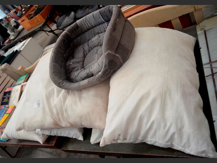 LOT: PILLOWS & A DOGGIE BED