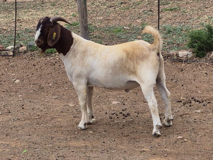 24093 | Grootfontein