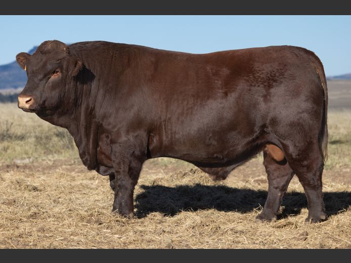 TZ 220120 | FAURZYL FARMING (PTY) LTD