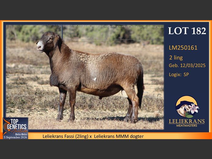 LM250161 | LELIEKRANS MEATMASTERS