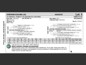 genetic_data