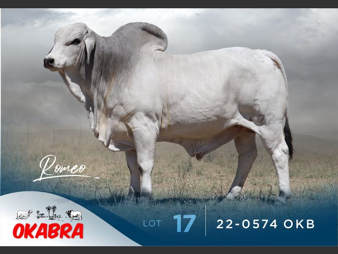 22-0574 OKB