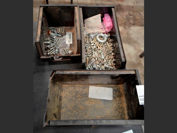 LOT: 3 x LIN BINS WITH NUTS & BOLTS