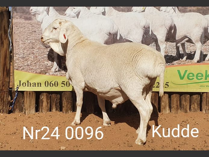 24096 | Johan Stadler