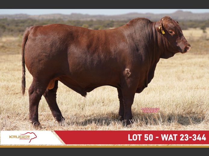 WAT230344 | KRUGER BOERDERY