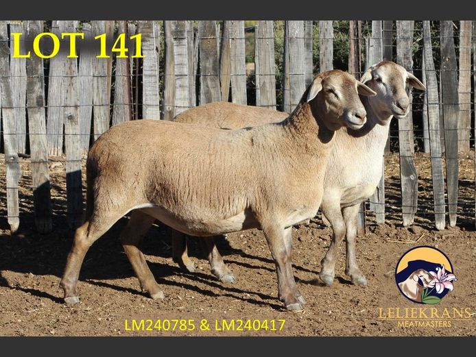 LM 24 0785 | AANGETEKEN | Piet de Lange - Leliekrans Meatmasters