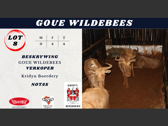 GOUE WILDEBEES