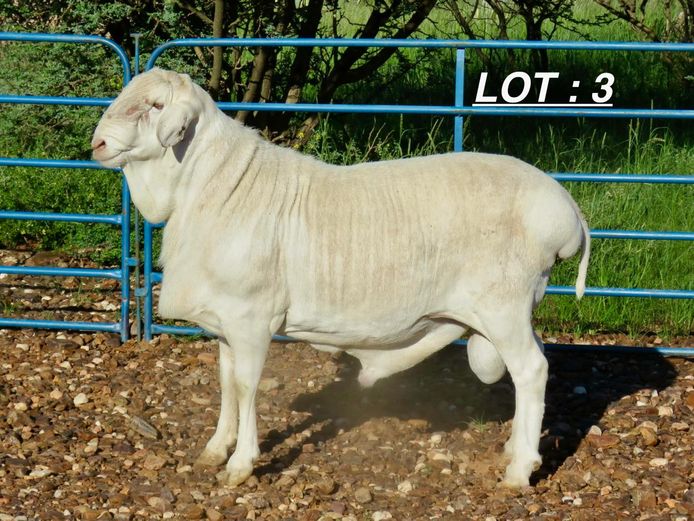 34 24 0296 | MNR. LOUIS VAN RENSBURG