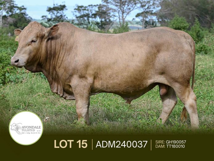 ADM240037 | A.D. MULLINS