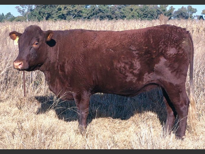 JRE240027 | RE FARMING CO (PTY) LTD
