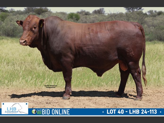 LHB 240113 | LEEUHEUWEL BOERDERY (EDMS) BPK