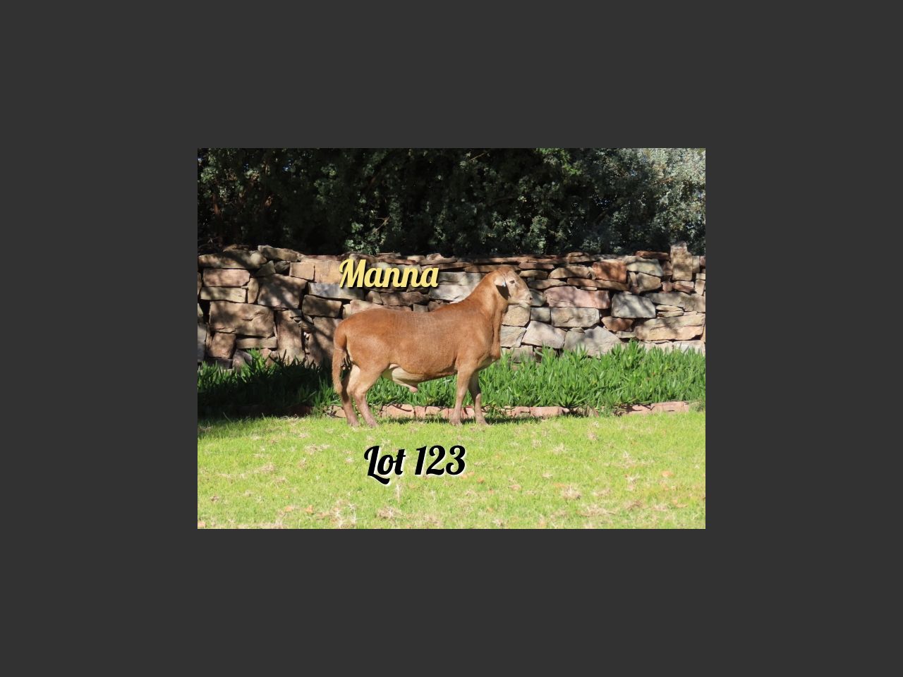 images