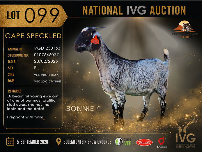 VGD 250163 BONNIE 4 | VRISCHGEWAAGD STOET